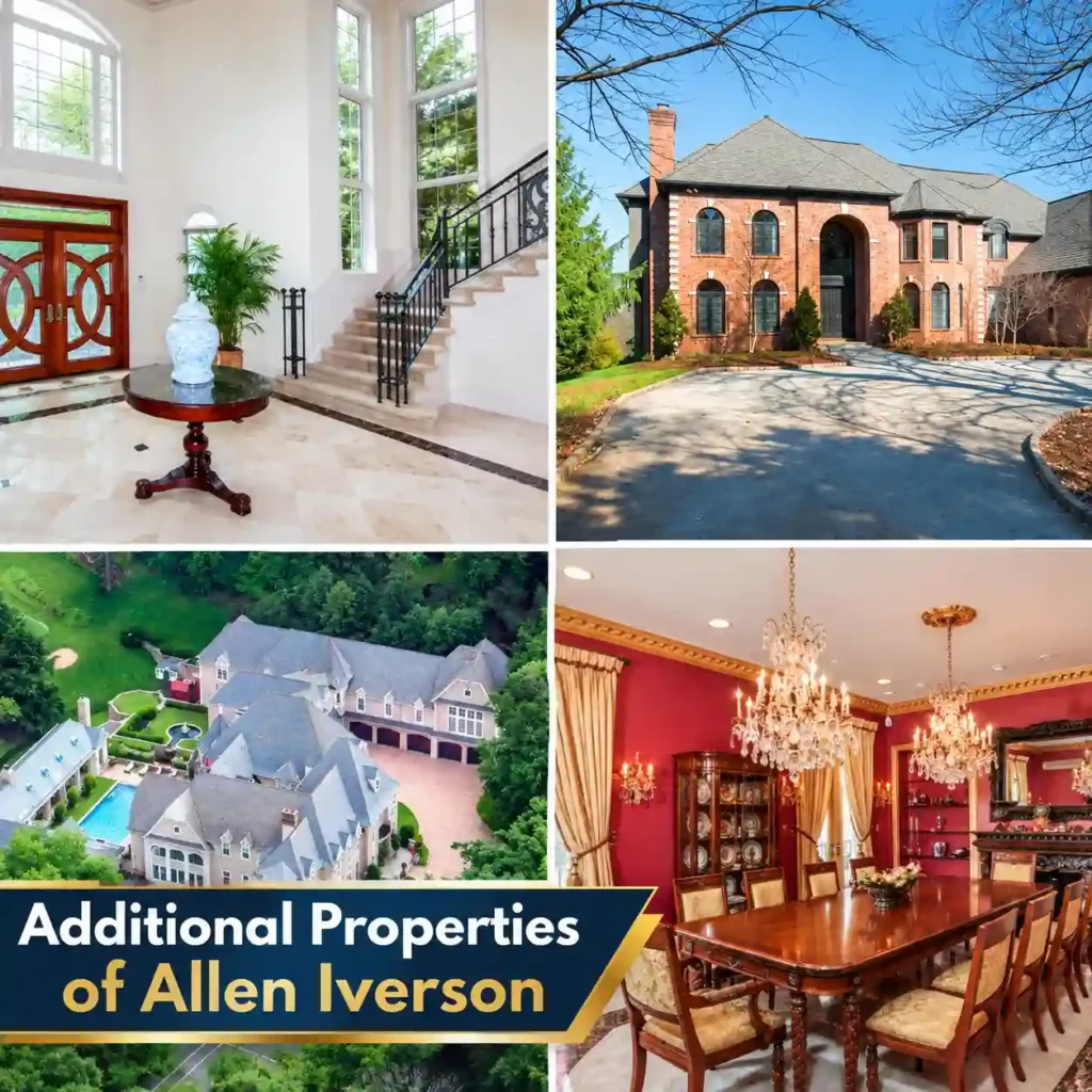 additional properties of allen iverson image