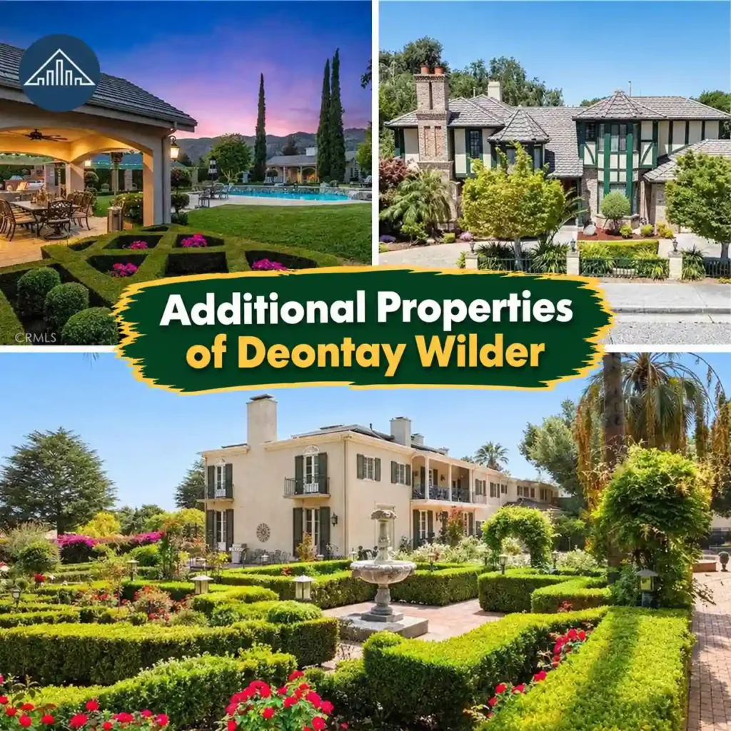 deontay wilder additional properties image
